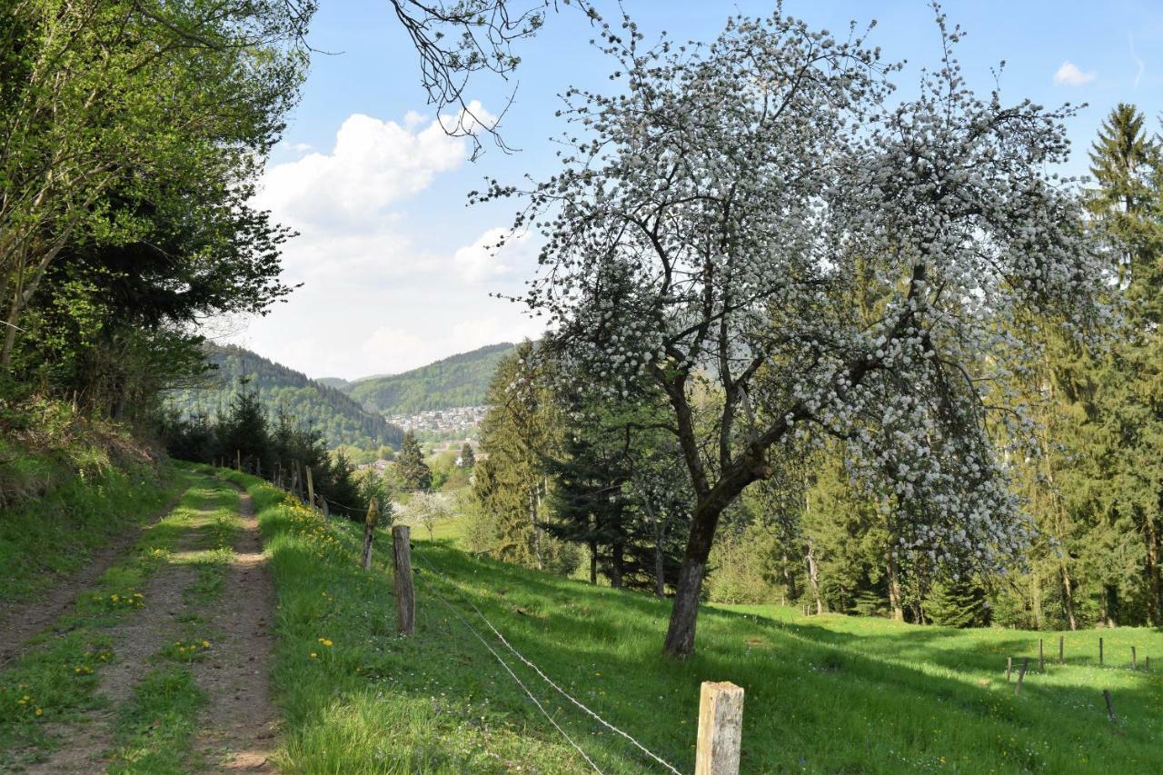 Ferienwohnung Im Dettenbachtal Waldkirch Exterior foto